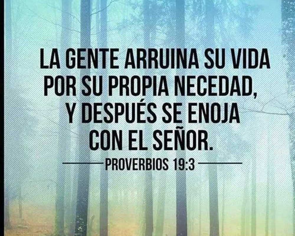 Imagen del Día – 07/01/2026