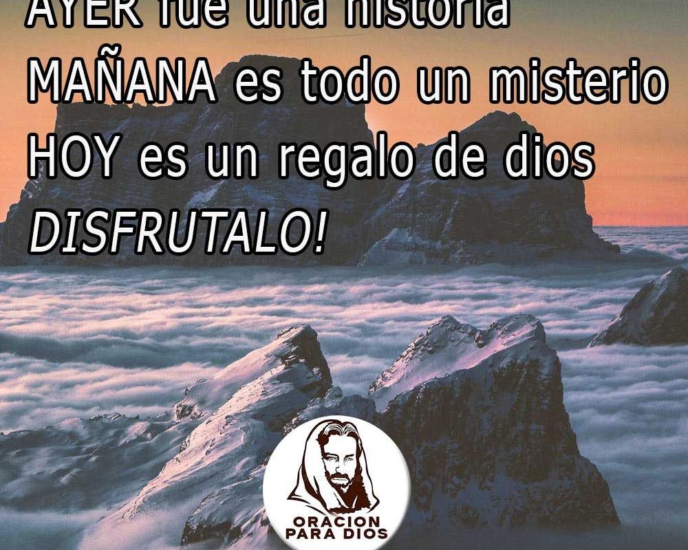 Imagen del Día – 14/02/2026