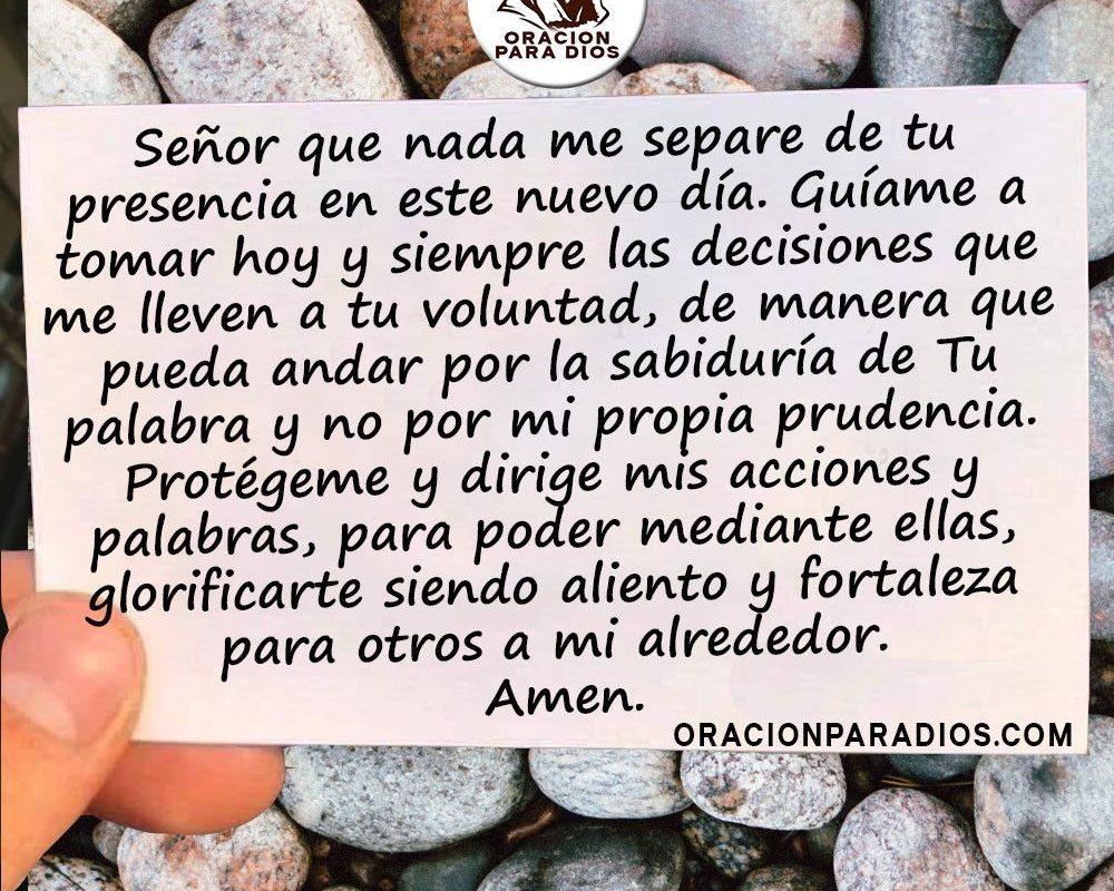 Imagen del Día – 20/02/2026