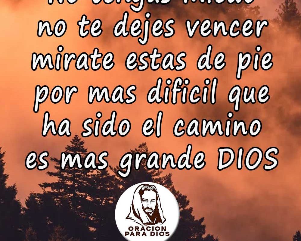 Imagen del Día – 02/03/2026