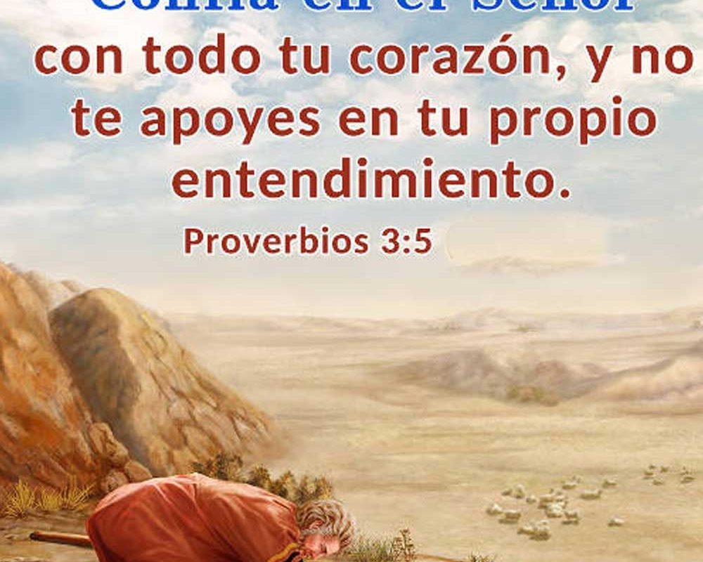 Imagen del Día – 04/03/2026