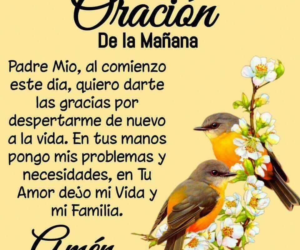 Imagen del Día – 09/03/2026