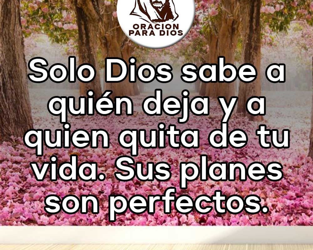 Imagen del Día – 13/03/2026