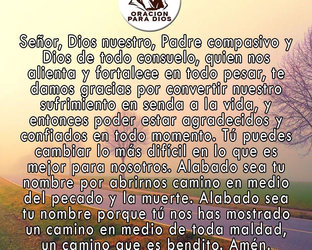 Imagen del Día – 15/03/2026