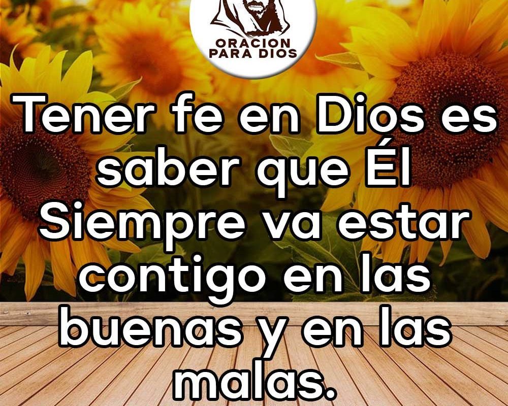 Imagen del Día – 24/03/2026