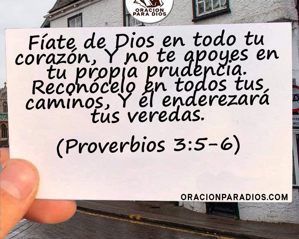 Imagen del Día – 12/05/2026