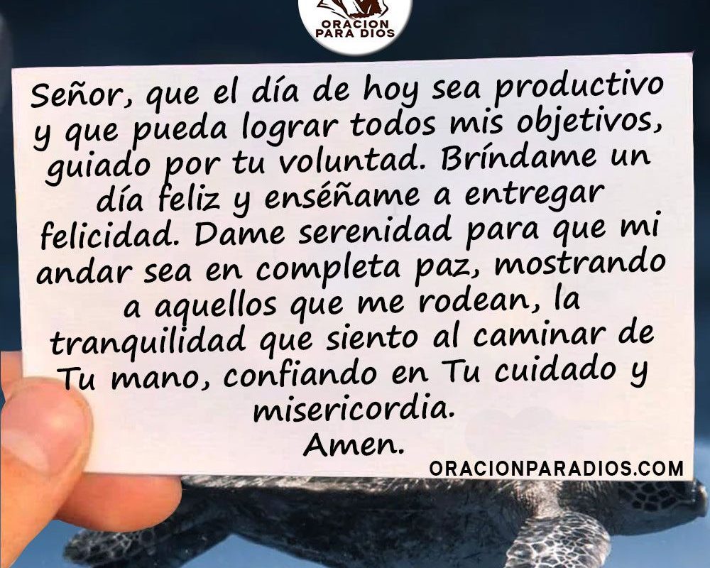 Imagen del Día – 23/05/2026