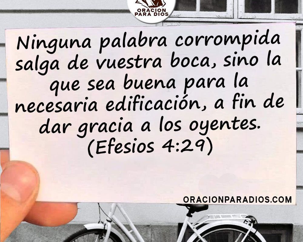 Imagen del Día – 03/06/2026