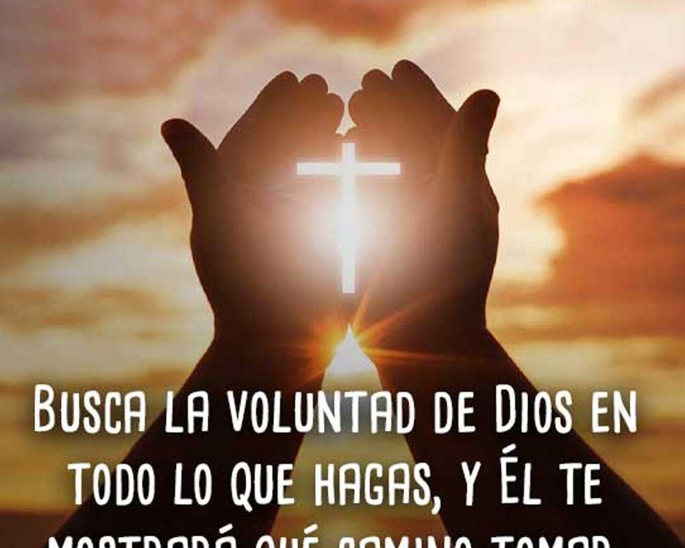 Imagen del Día – 24/06/2026