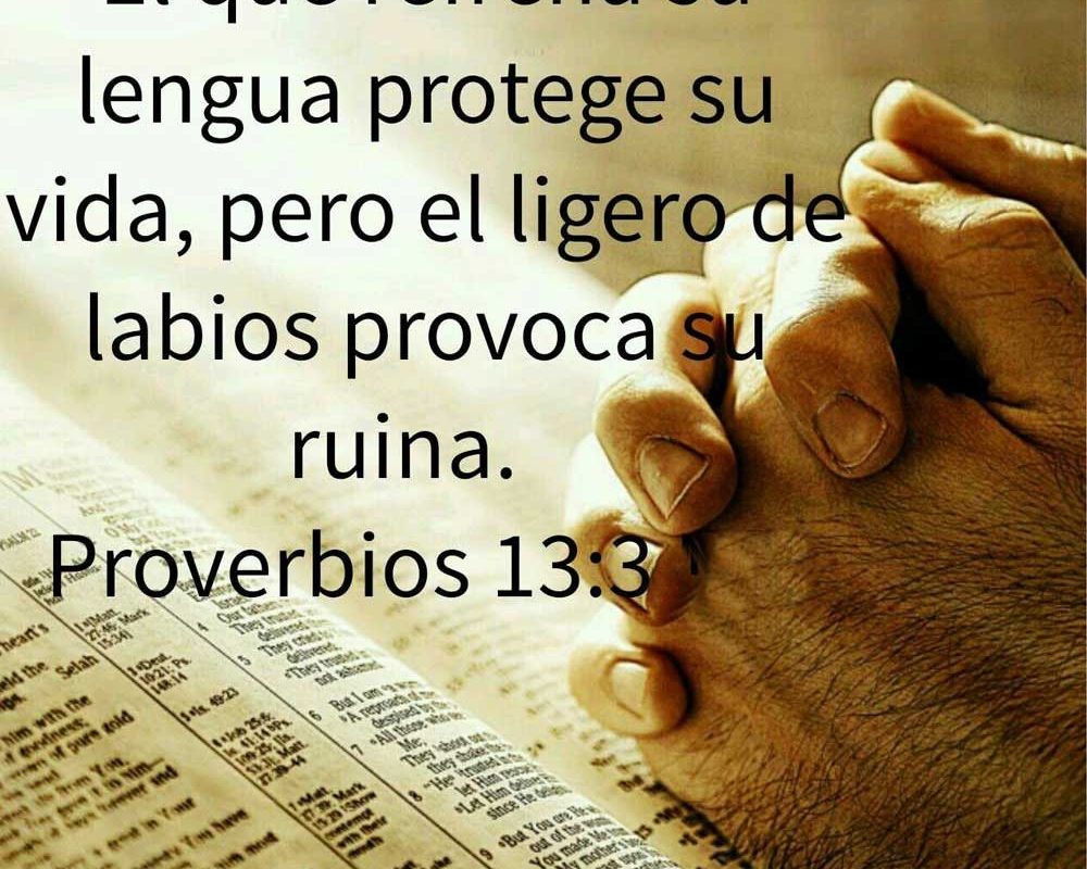 Imagen del Día – 07/09/2026